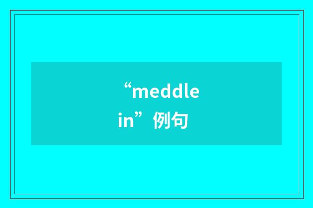 “meddle in”例句