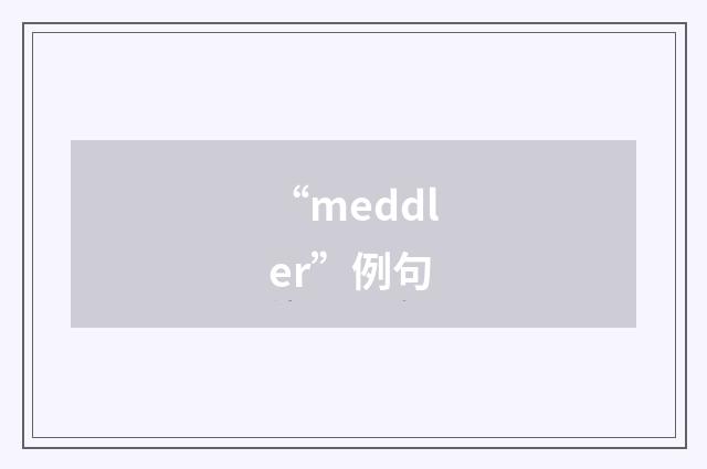 “meddler”例句
