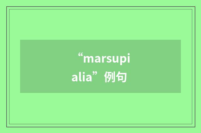 “marsupialia”例句