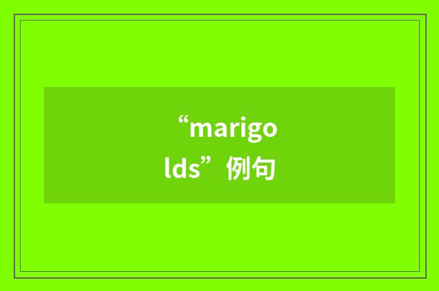 “marigolds”例句
