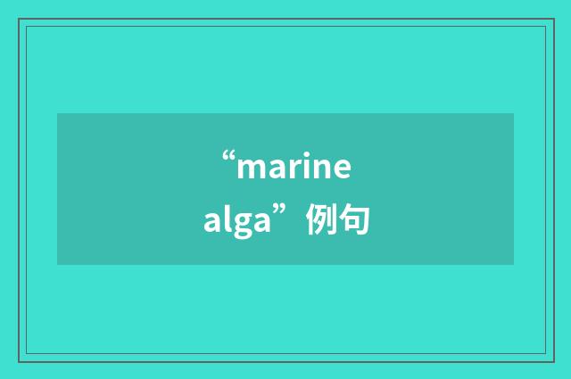 “marine alga”例句