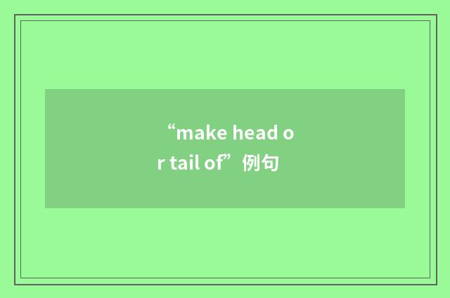 “make head or tail of”例句