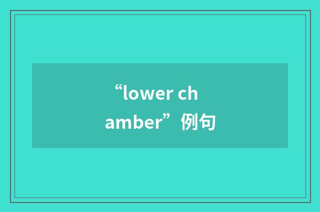 “lower chamber”例句