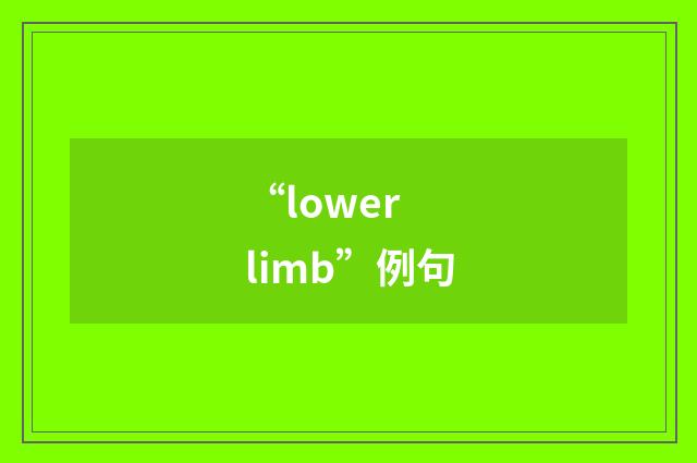 “lower limb”例句