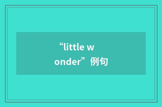 “little wonder”例句