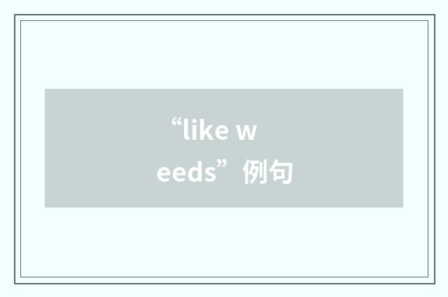 “like weeds”例句