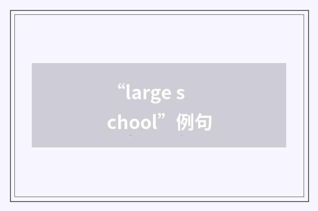 “large school”例句