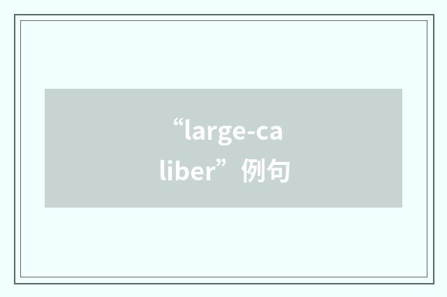 “large-caliber”例句