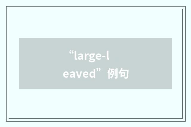 “large-leaved”例句