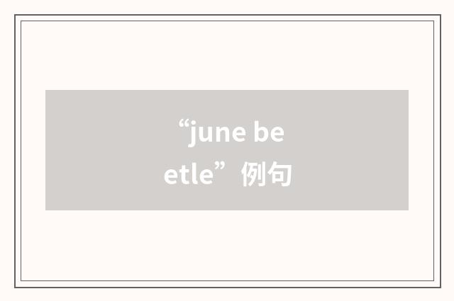 “june beetle”例句