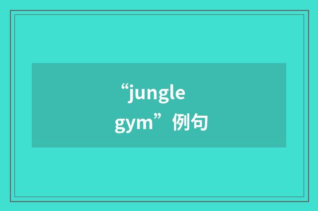 “jungle gym”例句