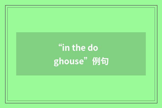 “in the doghouse”例句