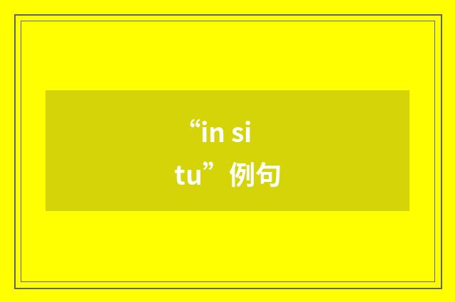 “in situ”例句