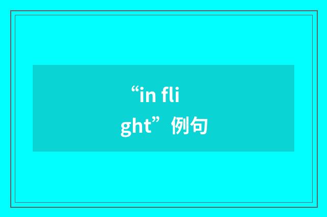 “in flight”例句