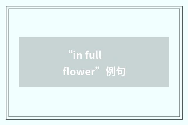 “in full flower”例句