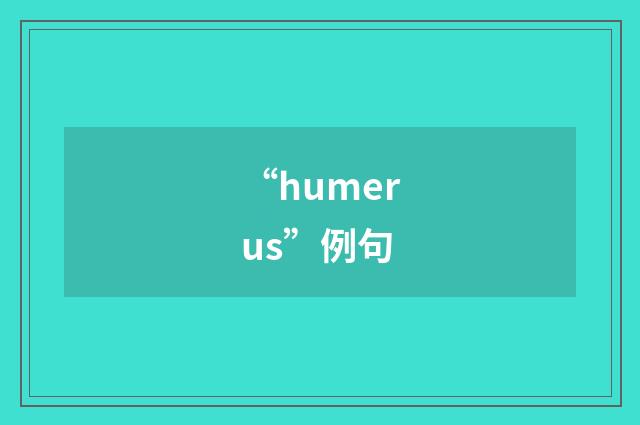 “humerus”例句