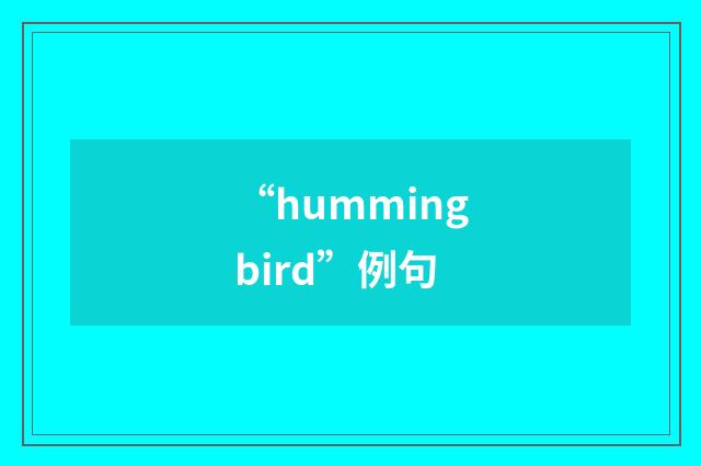 “hummingbird”例句