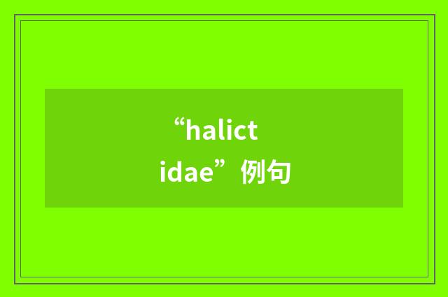 “halictidae”例句
