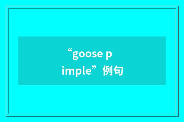“goose pimple”例句