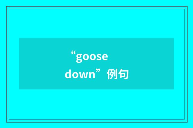 “goose down”例句