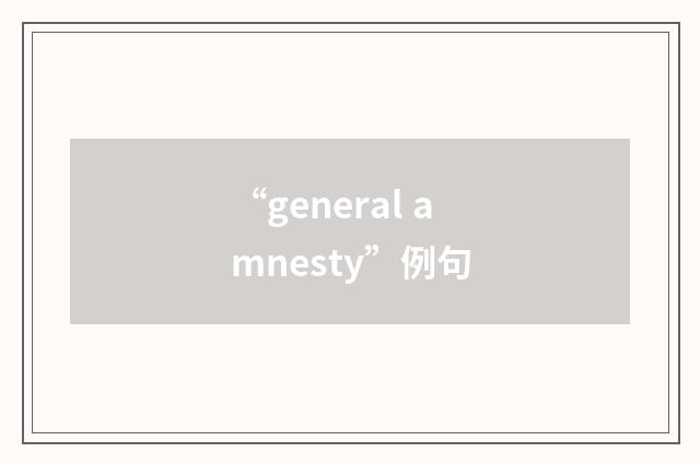 “general amnesty”例句
