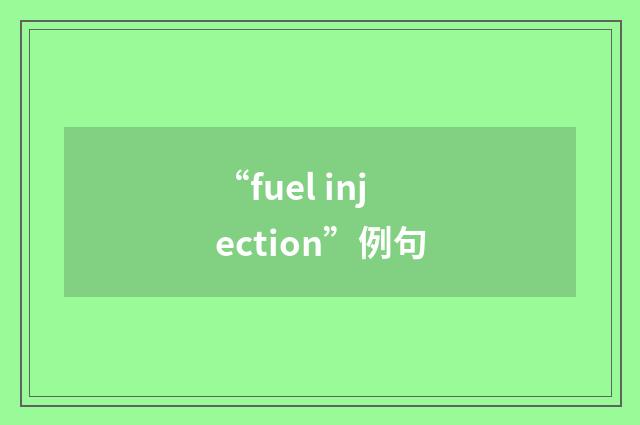 “fuel injection”例句