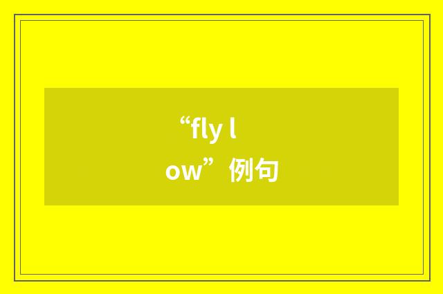 “fly low”例句