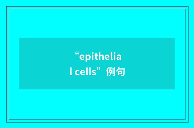 “epithelial cells”例句