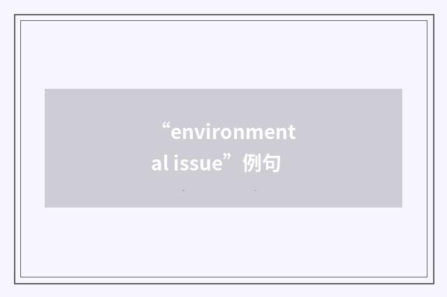 “environmental issue”例句