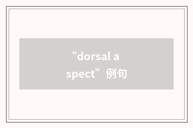 “dorsal aspect”例句