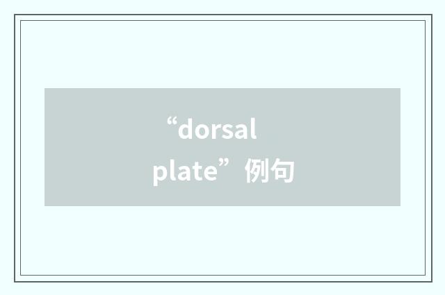 “dorsal plate”例句