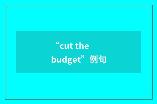 “cut the budget”例句
