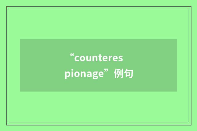 “counterespionage”例句