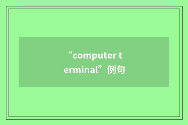 “computer terminal”例句