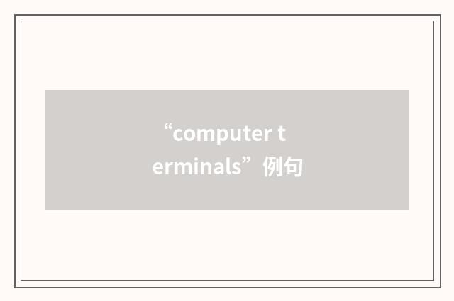 “computer terminals”例句