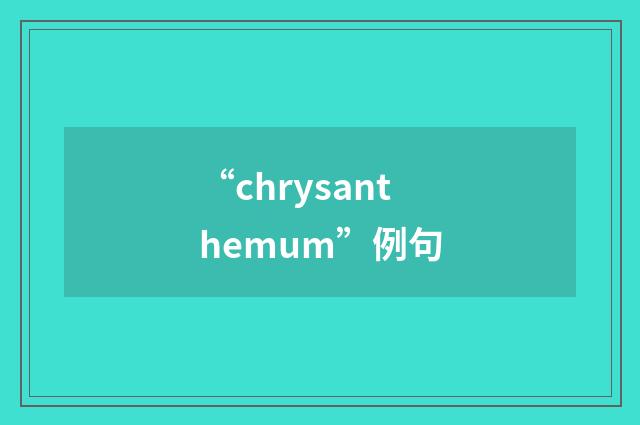 “chrysanthemum”例句