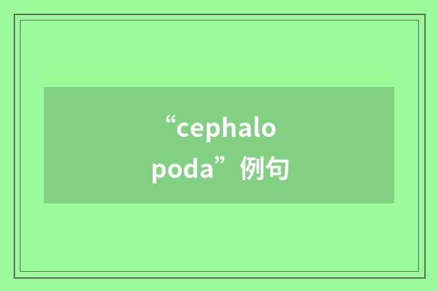 “cephalopoda”例句