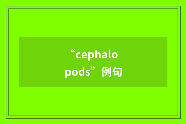 “cephalopods”例句