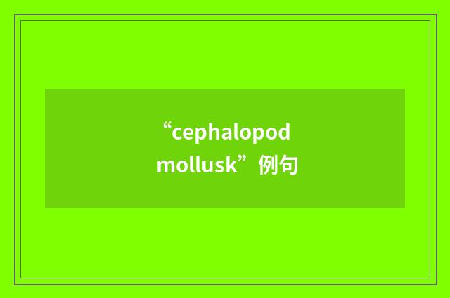 “cephalopod mollusk”例句