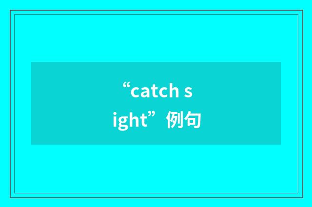 “catch sight”例句