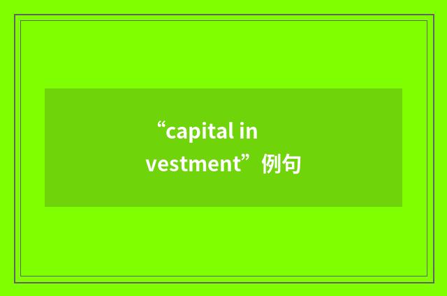 “capital investment”例句