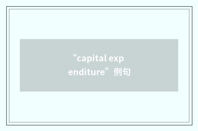 “capital expenditure”例句
