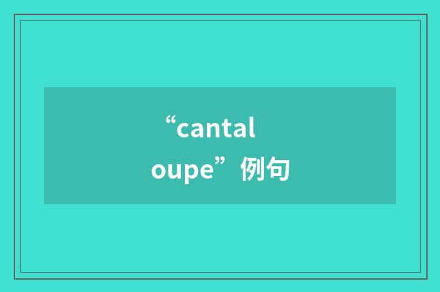 “cantaloupe”例句