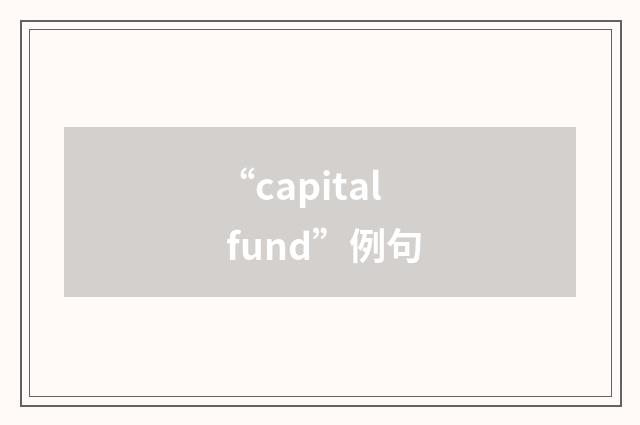 “capital fund”例句