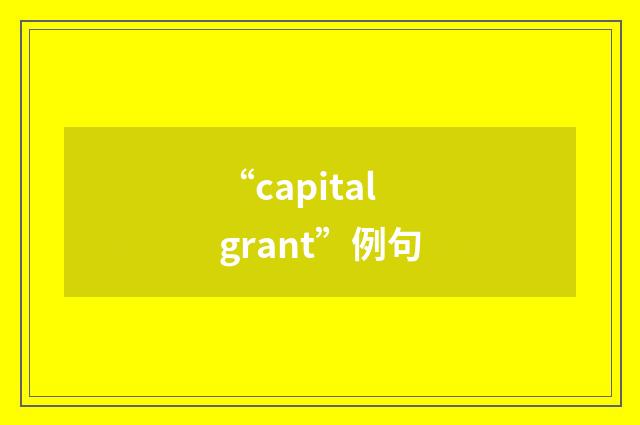 “capital grant”例句