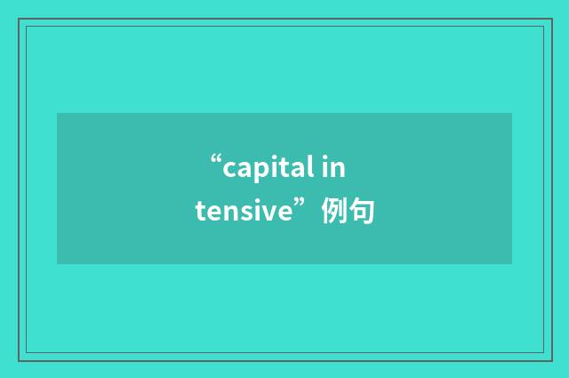 “capital intensive”例句