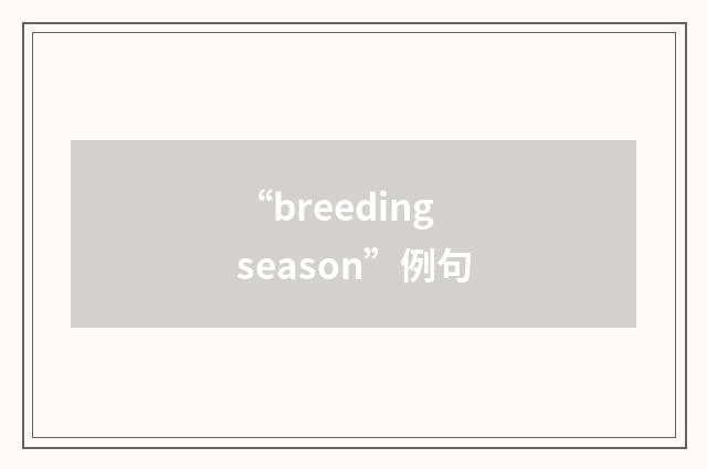 “breeding season”例句
