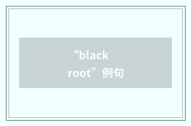 “black root”例句