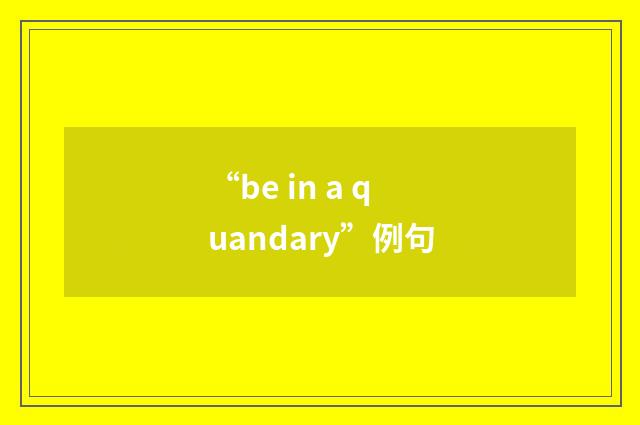 “be in a quandary”例句