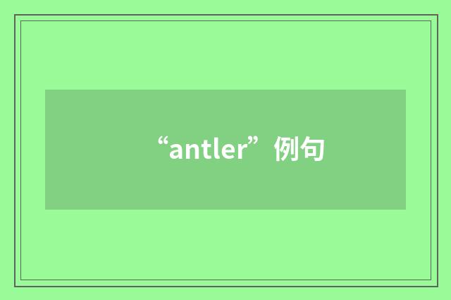 “antler”例句